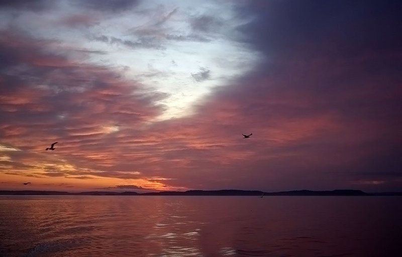 озеро, закат Вечер на Ладоге фото превью