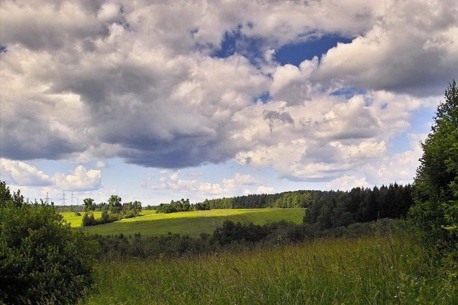 природа, симфония, Андрей Ерумов