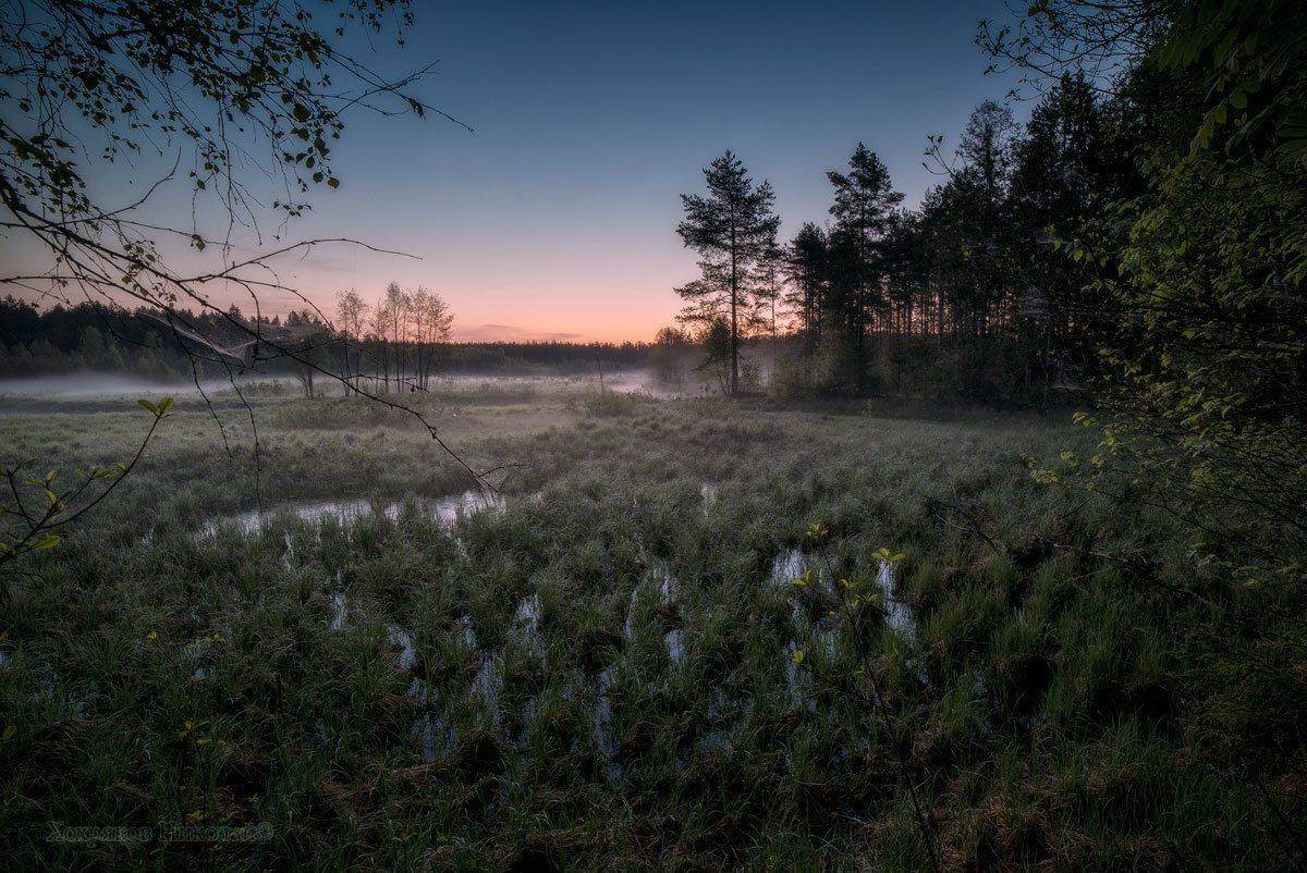 , Хохряков Николай