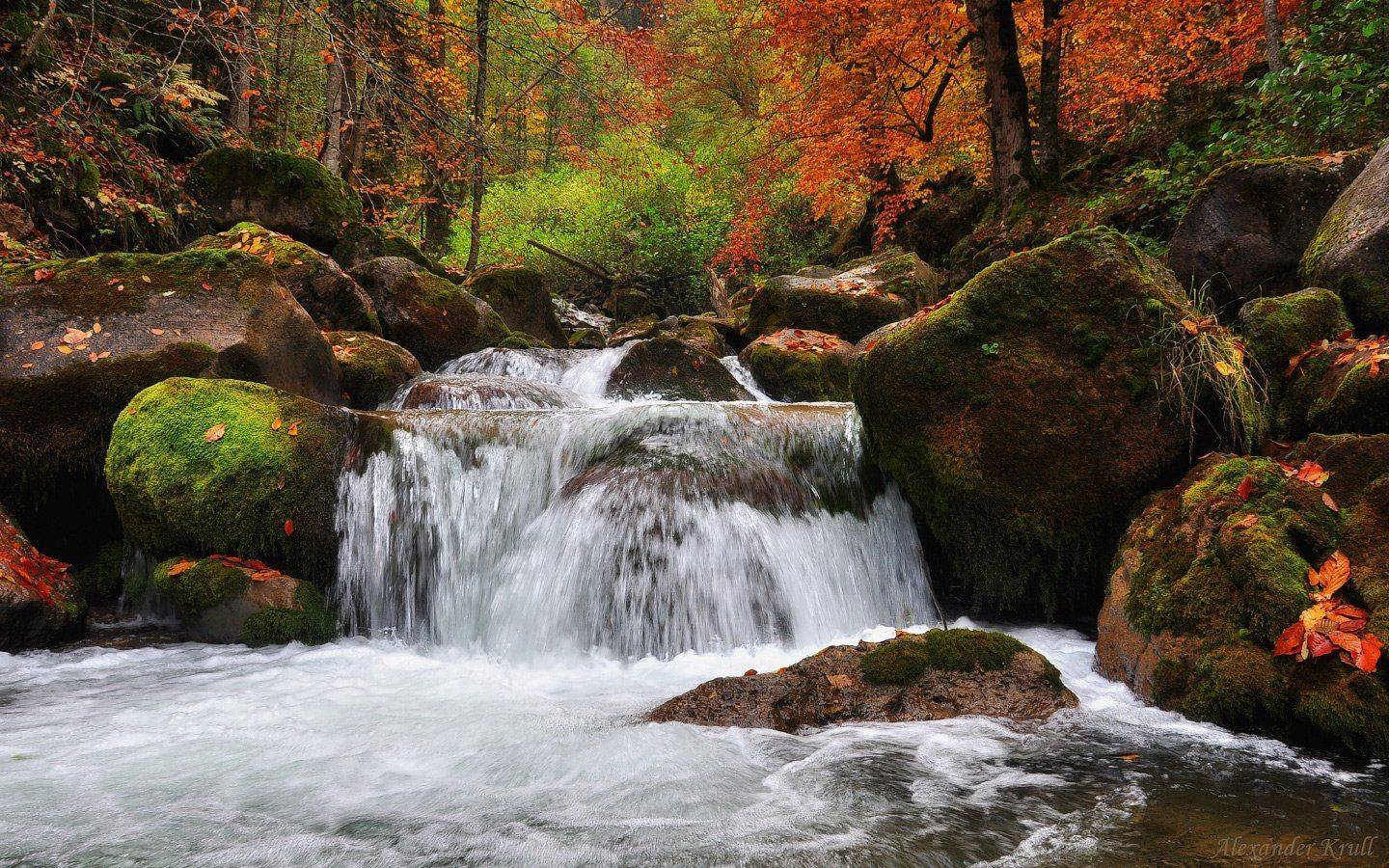 кавказ, кчр, Александр Круль