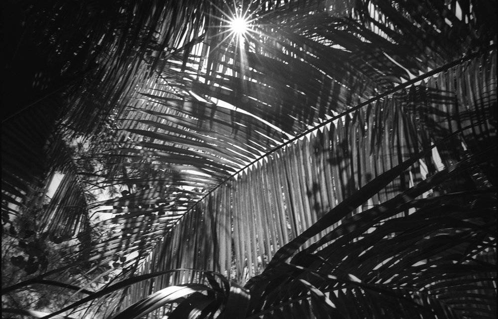 Blackandwhite, Light, Shadow, Ксения