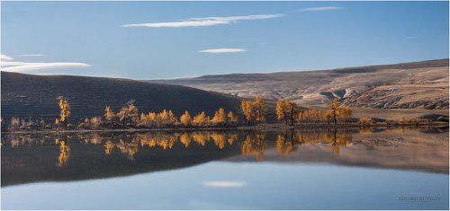 Прозрачная тишина