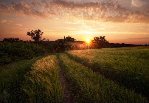 Июньский вечер