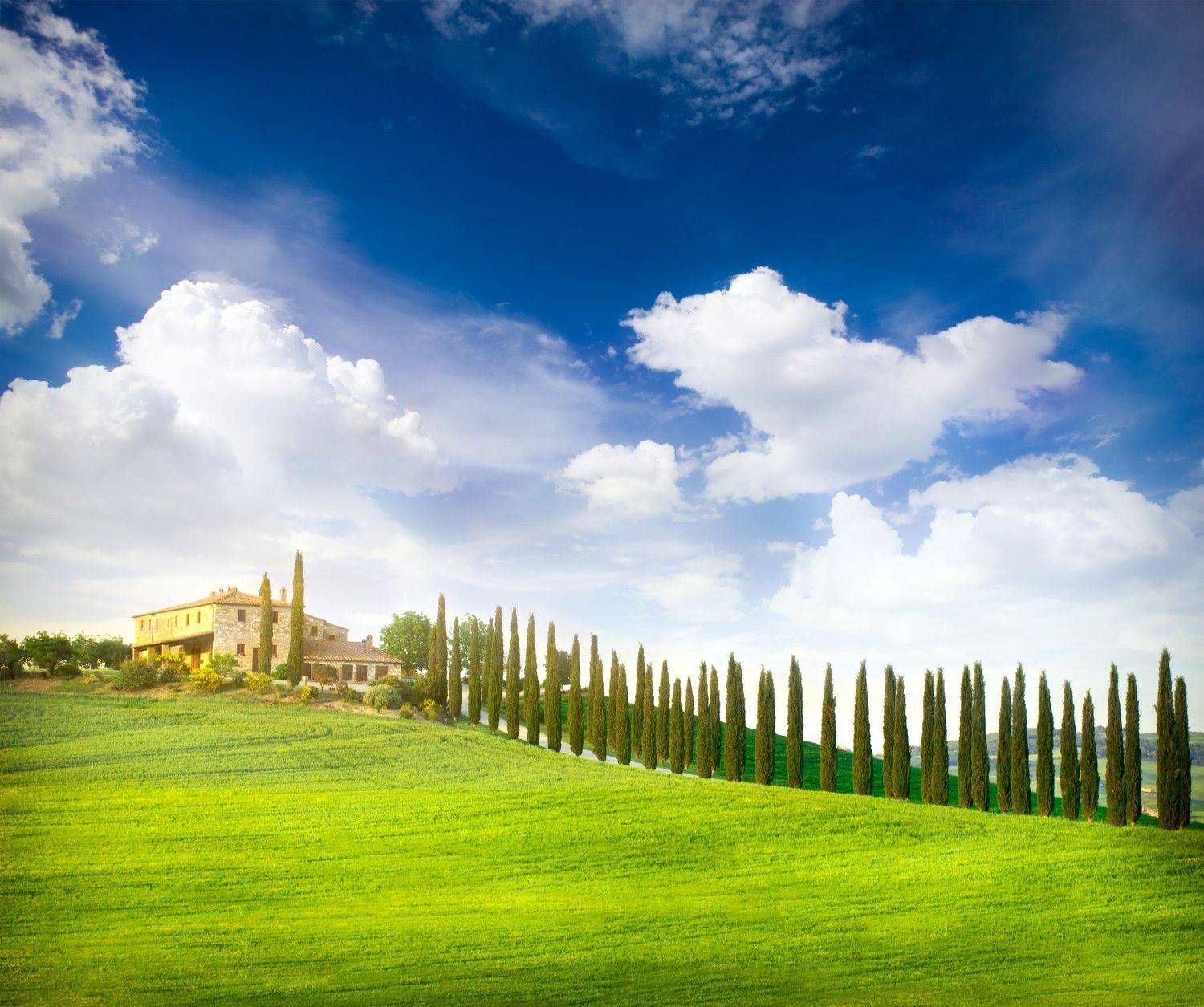 , Токарь Дмитрий