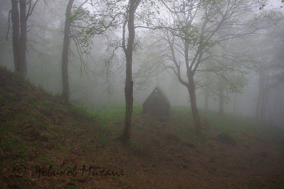 , Ловиков Михаил