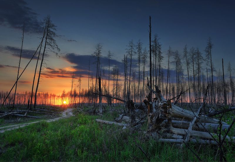 * фото превью