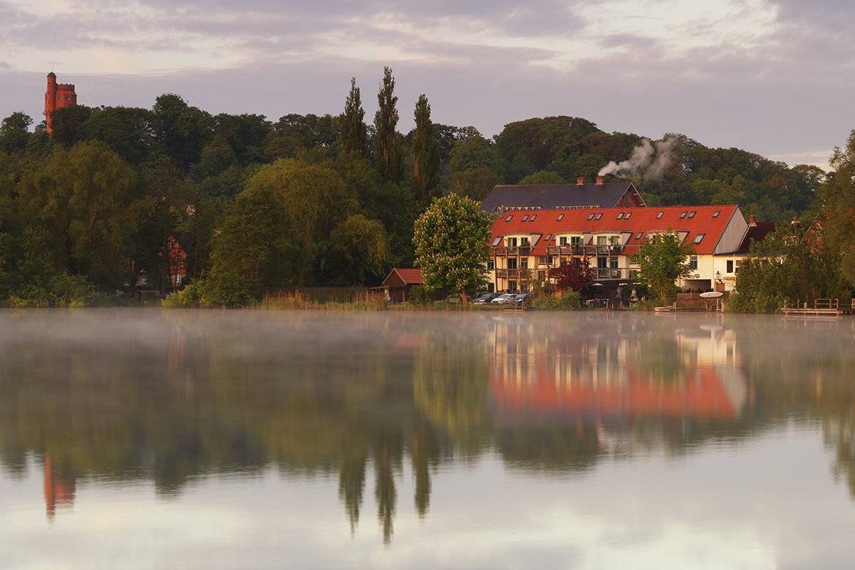 , Игорь Дубровский