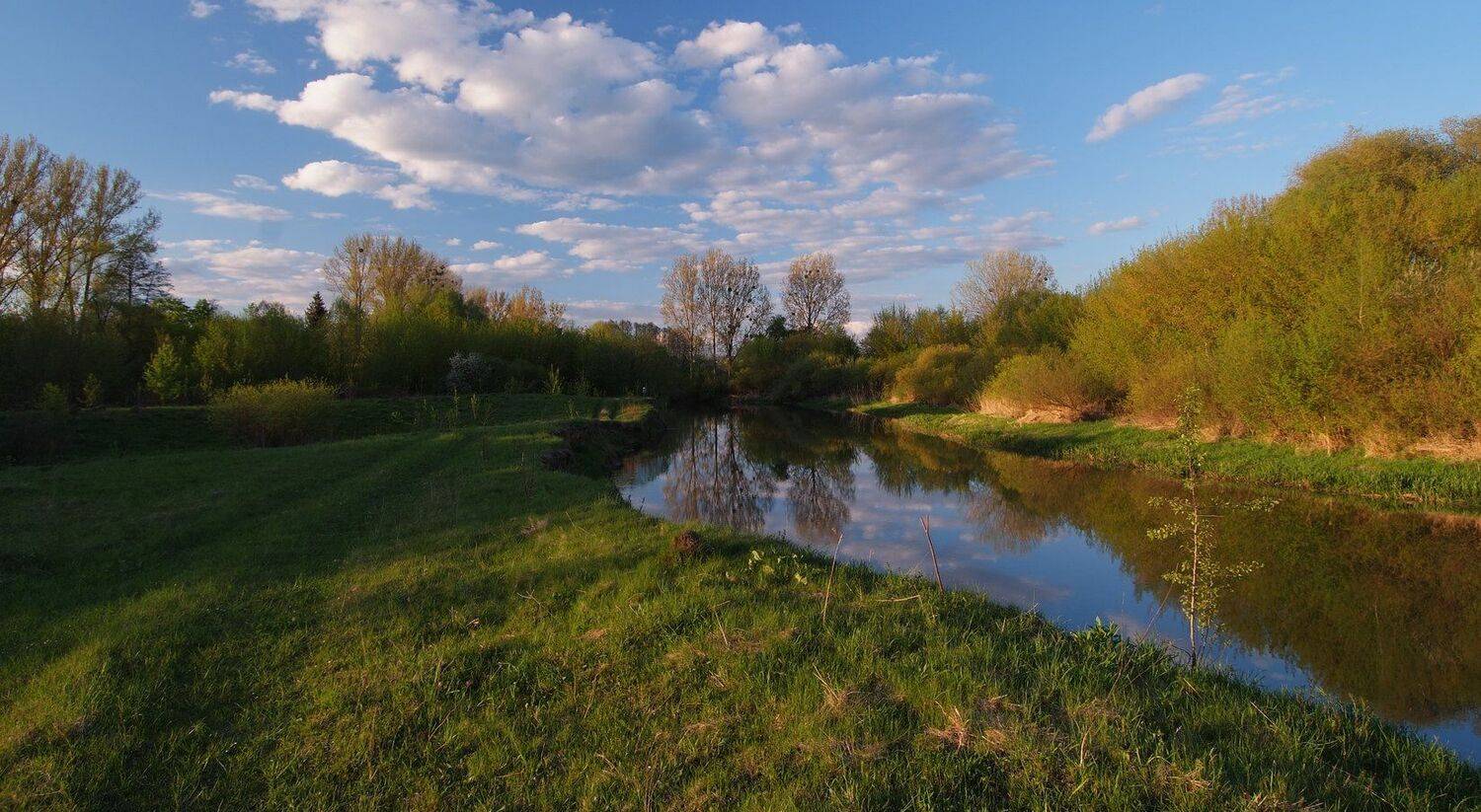 , Николай Шахманцир