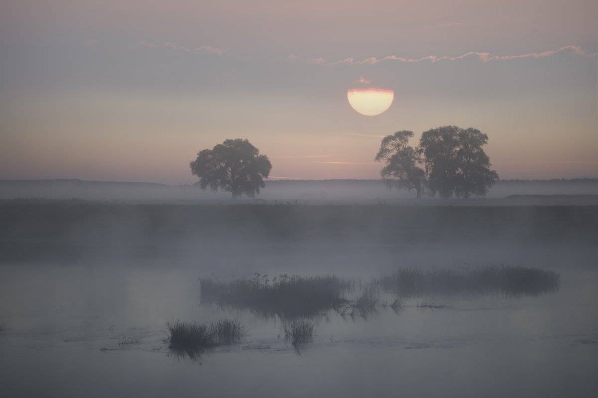 , Валерий Кондратов