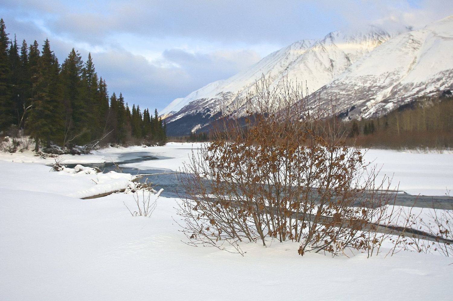 , Александр Бурдин