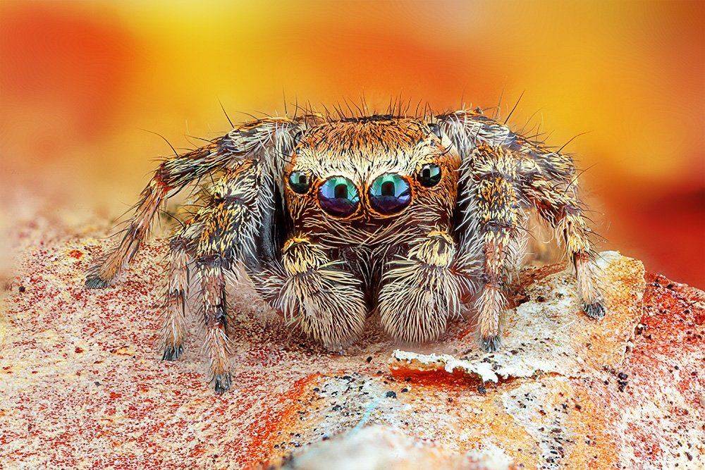 pu5z3k, macro, stack, Rados?aw Pusz