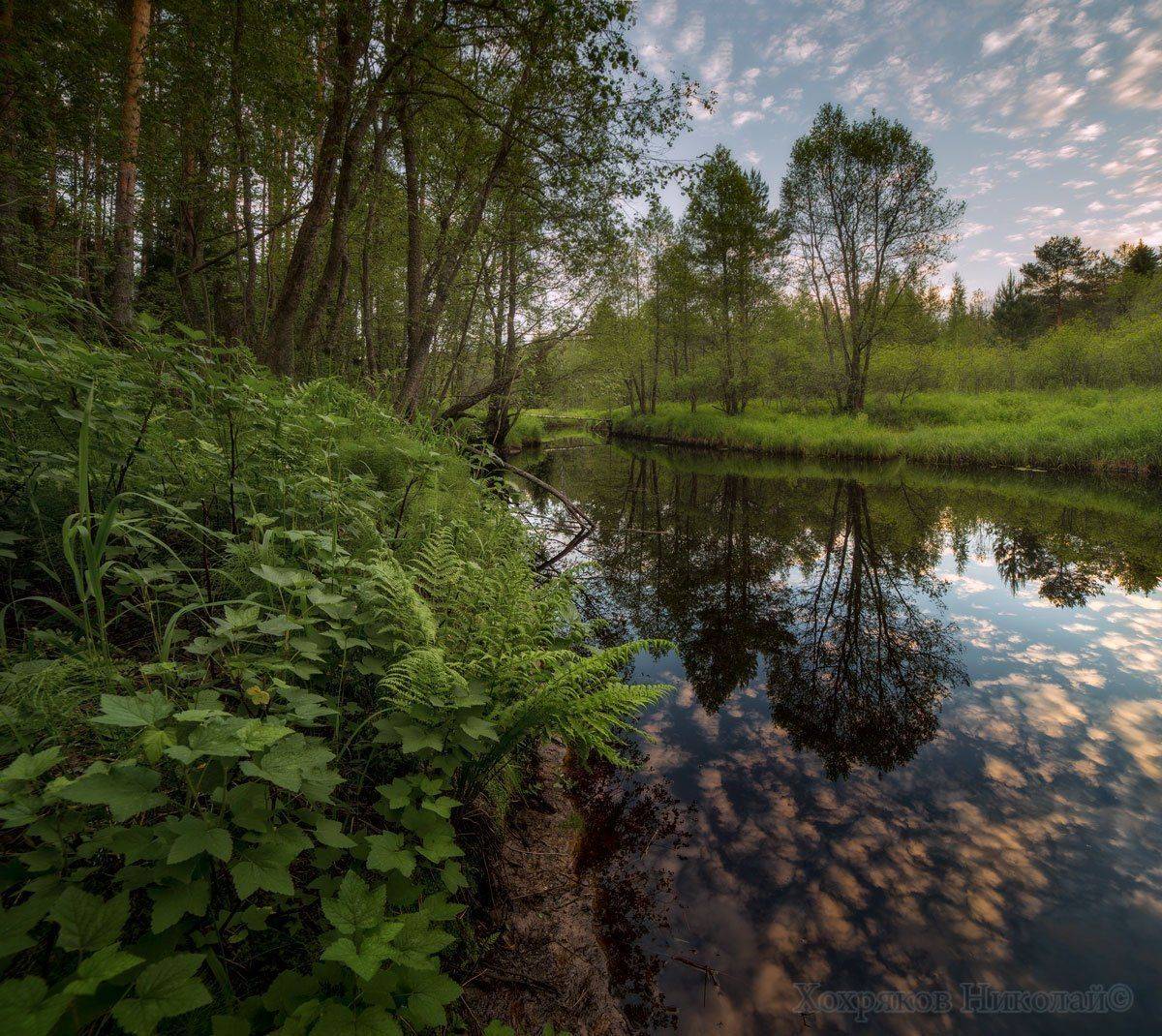 , Хохряков Николай