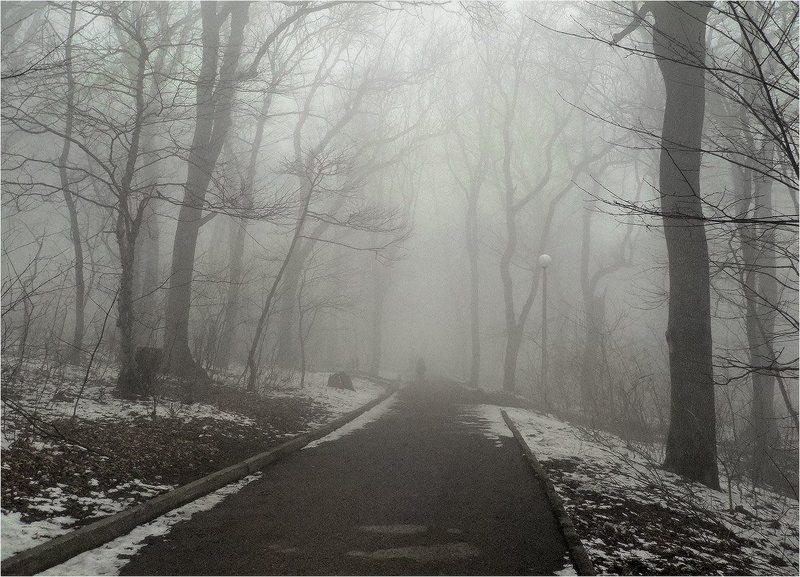 Туманное фото превью