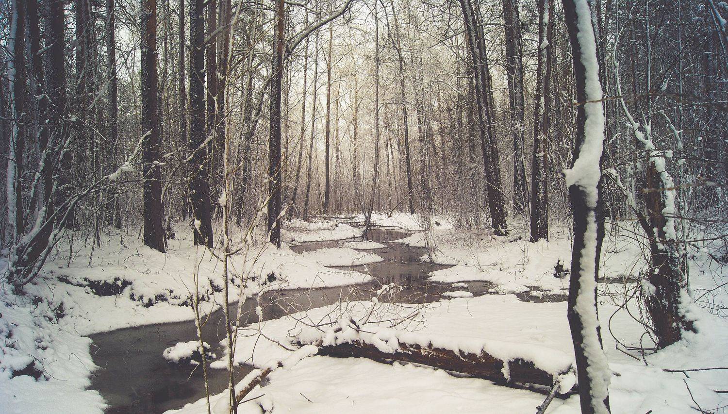 , Александр Казин