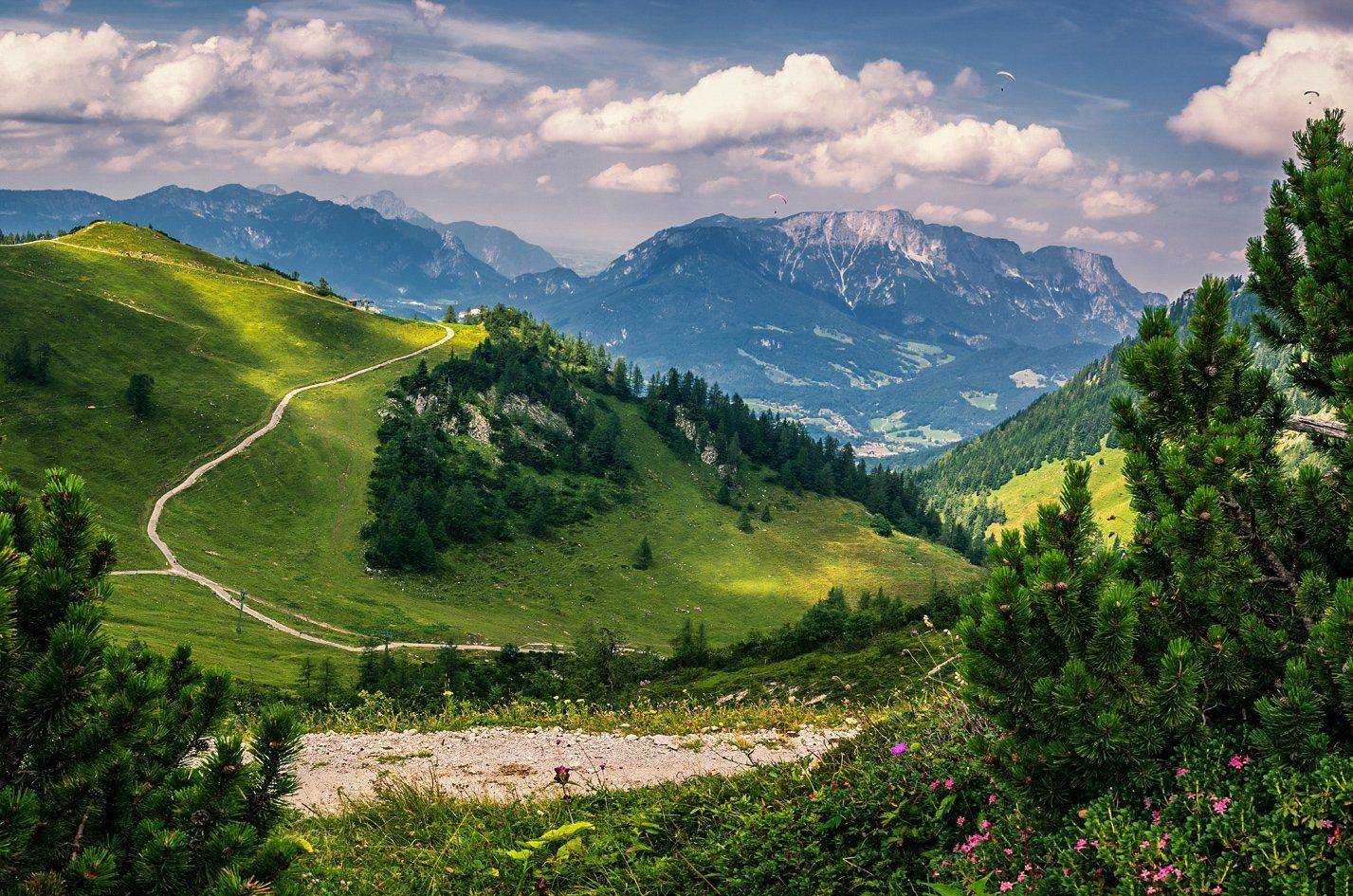 , Игорь Мелекесцев