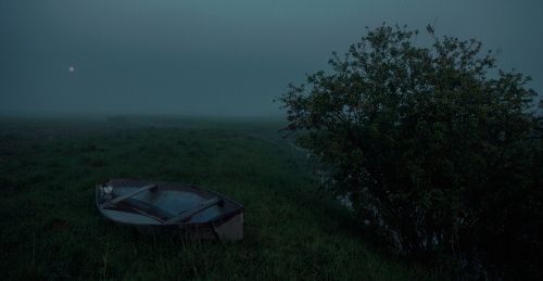 В тумане