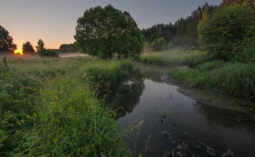 По утренним тропинкам