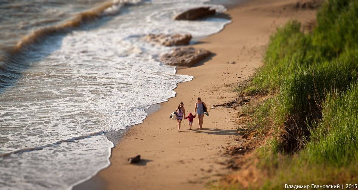 , Гвановский Владимир