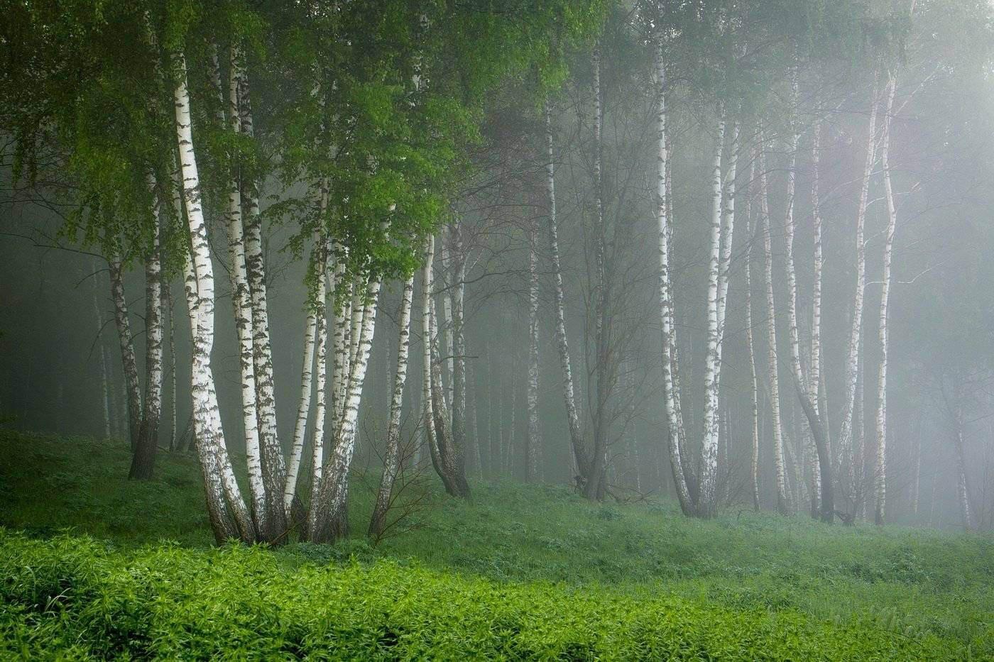 , Вилюнов Дмитрий