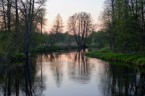 Pro магию Мещёрского вечера...