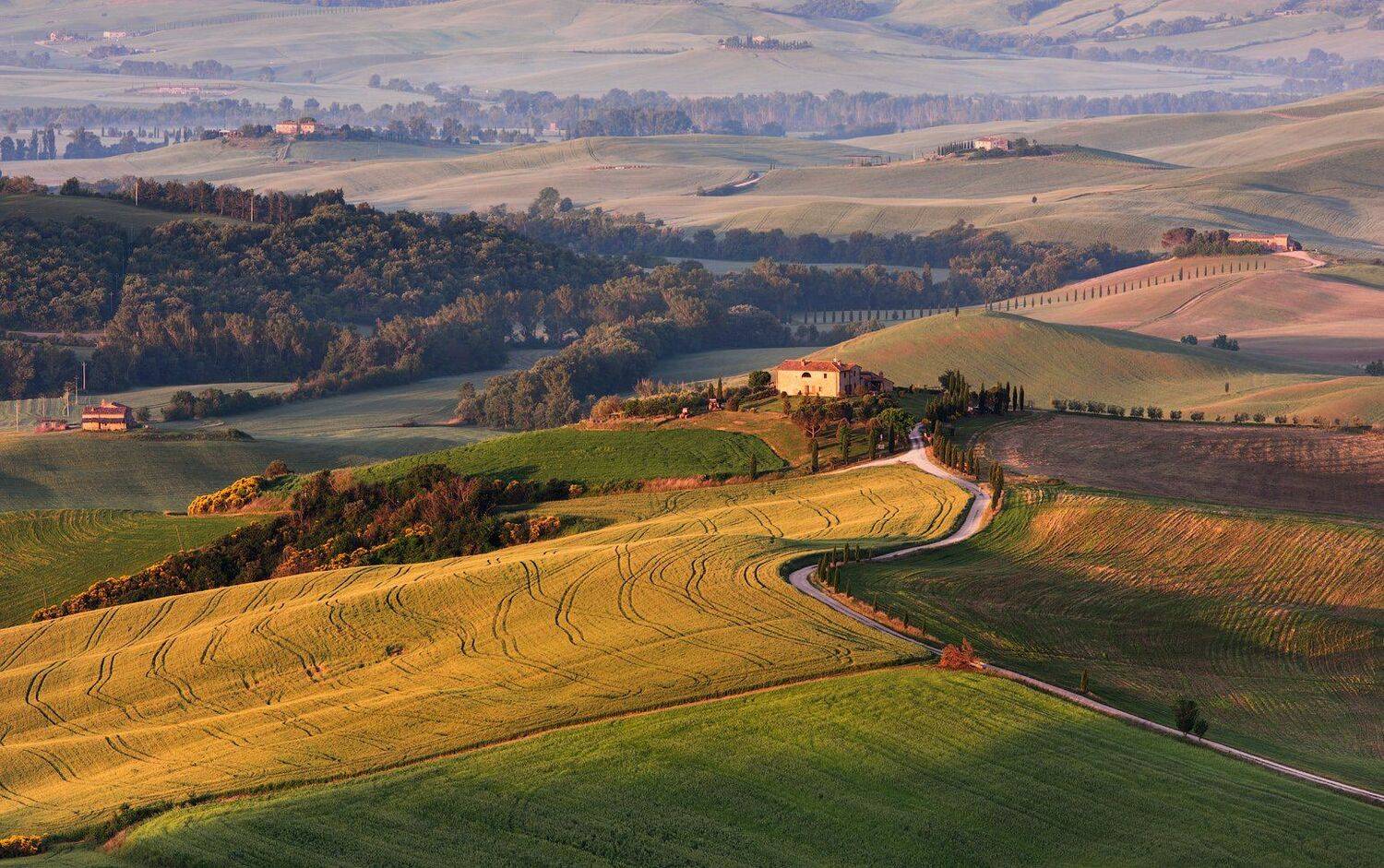 , Андрей Ведерников