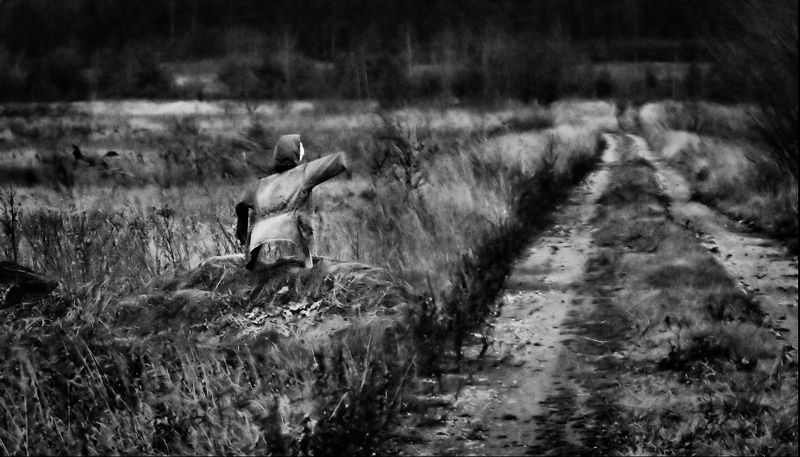 одиночество... фото превью