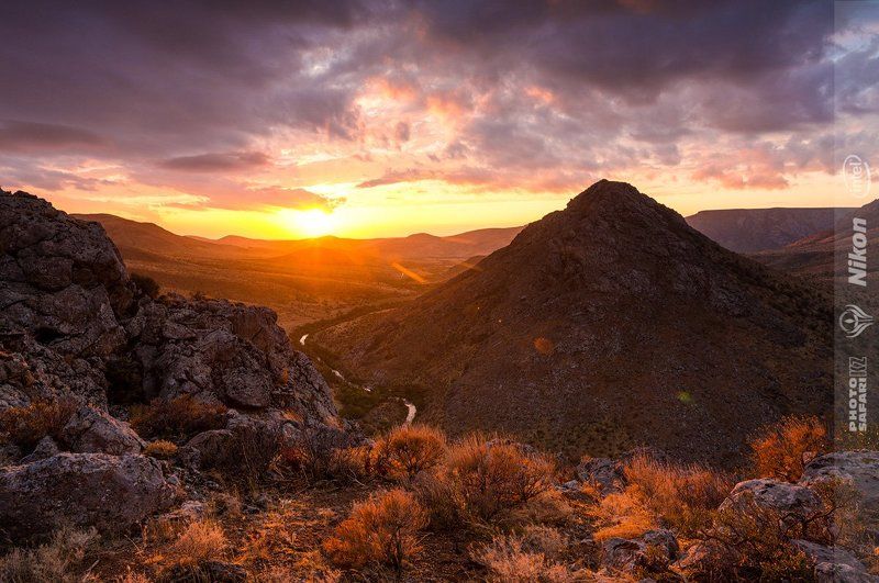 природа, казахстан, photosafari.kz Каратау фото превью
