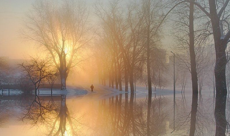 утро солннце свет вода ...к свету... * фото превью