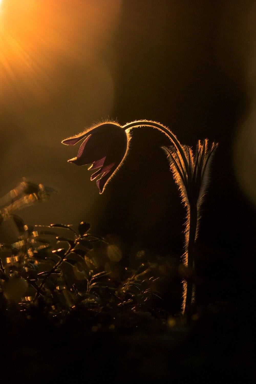 , Вилюнов Дмитрий