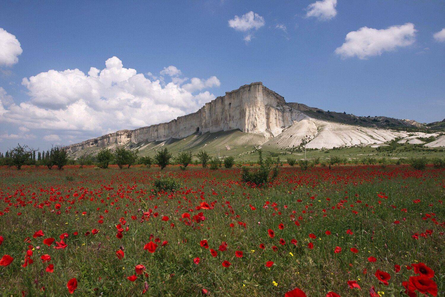 , Поздняков Алик