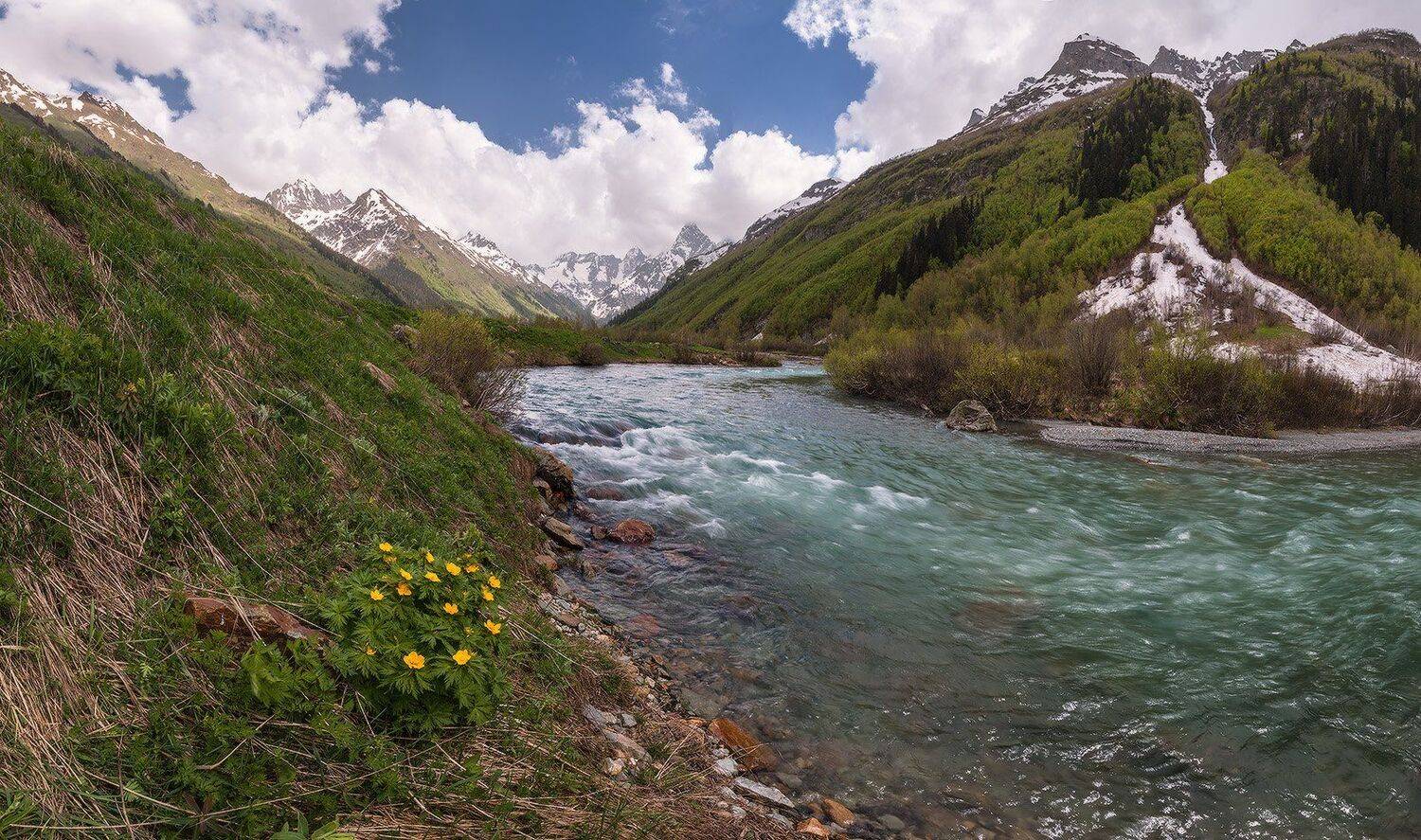 , Николай Мысливцев