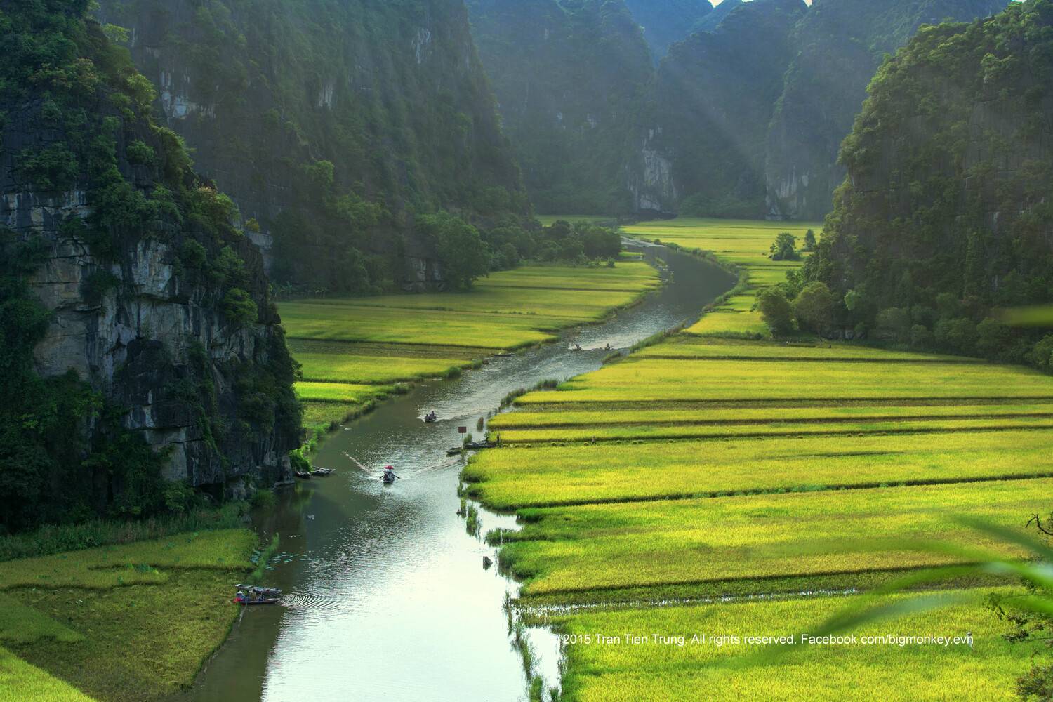 , Trần Tiến Trung