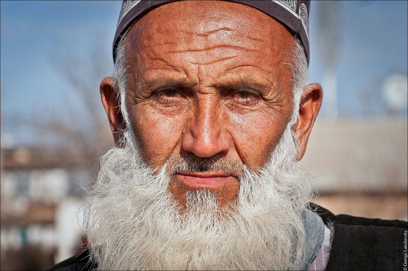 Мудрец фото превью