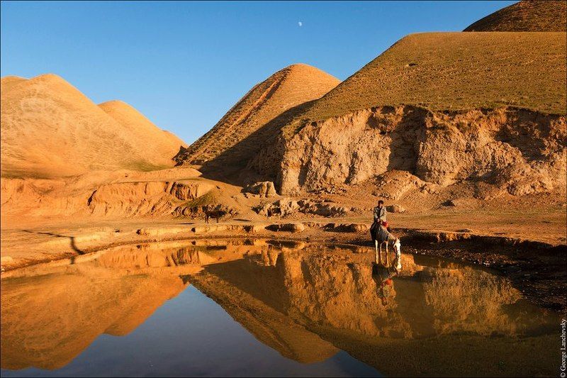 Водопой фото превью