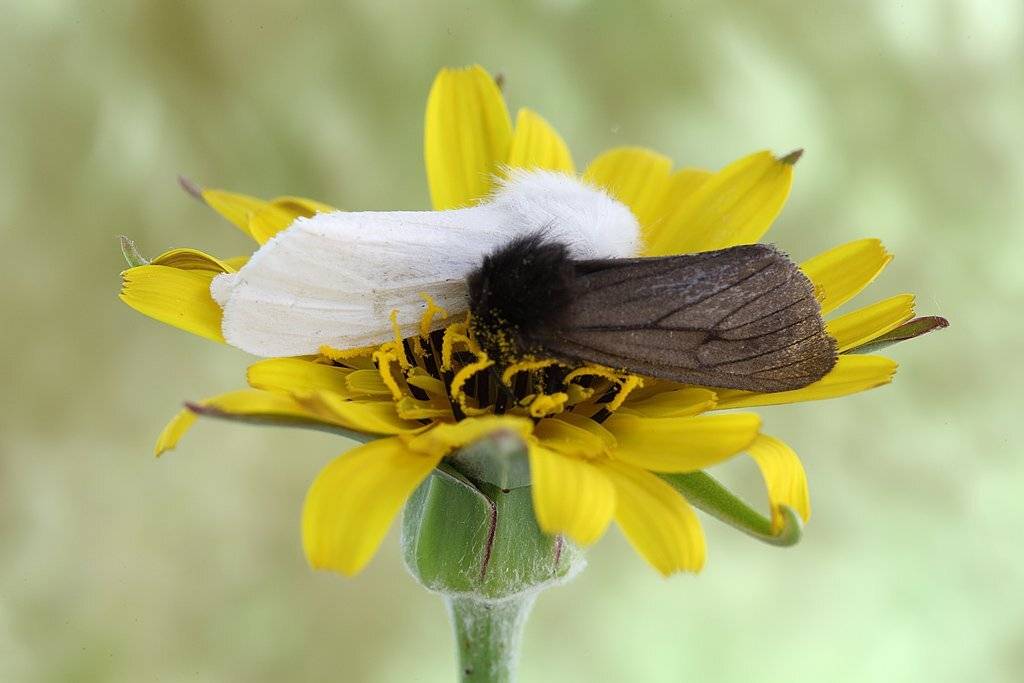 , Сергей Таланов