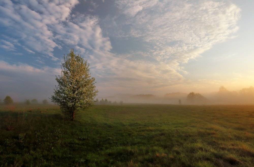 , Петриченко Валерий