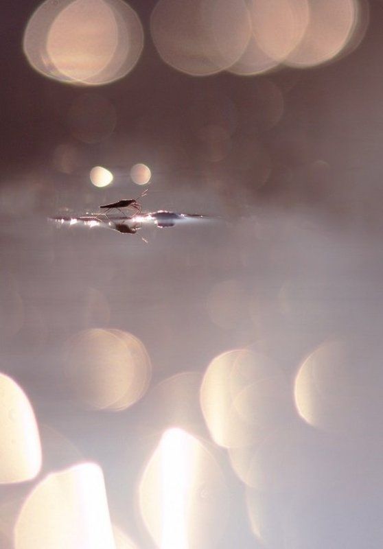 В облаках фото превью