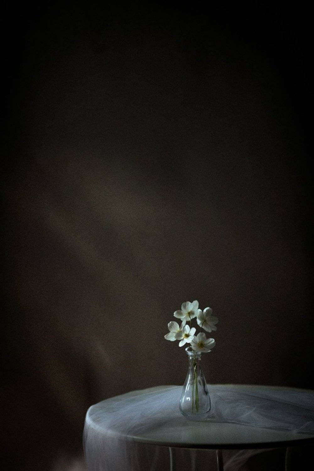 Натюрморт, Svetlana Golicyna