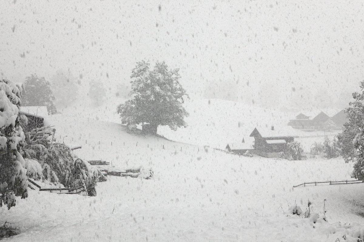 , Матвеев Николай