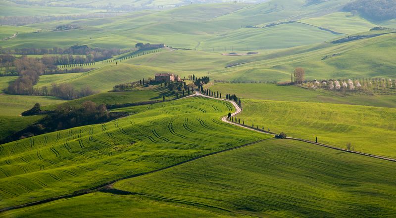 Evening Tuscany фото превью
