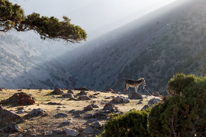 Утро в Фанах фото превью