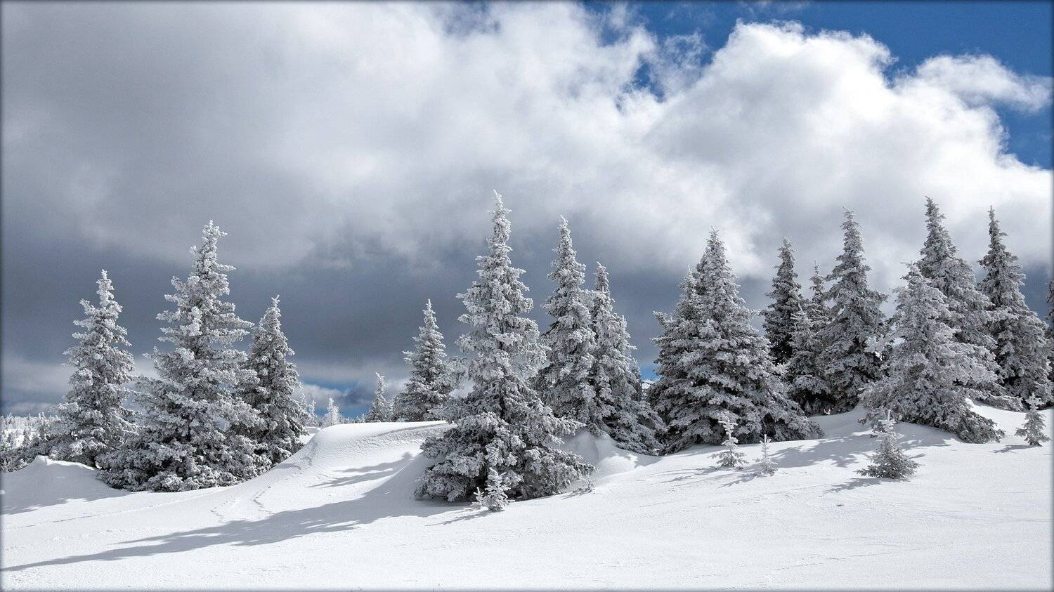 , Сергей Евдокимов