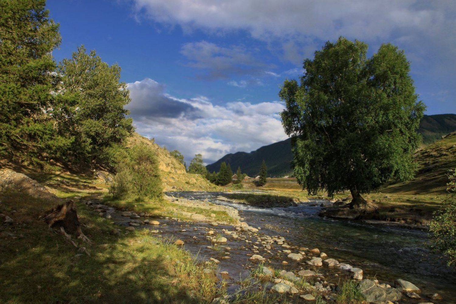 алтай, горный алтай, чибит, чибитка, Галина Хвостенко