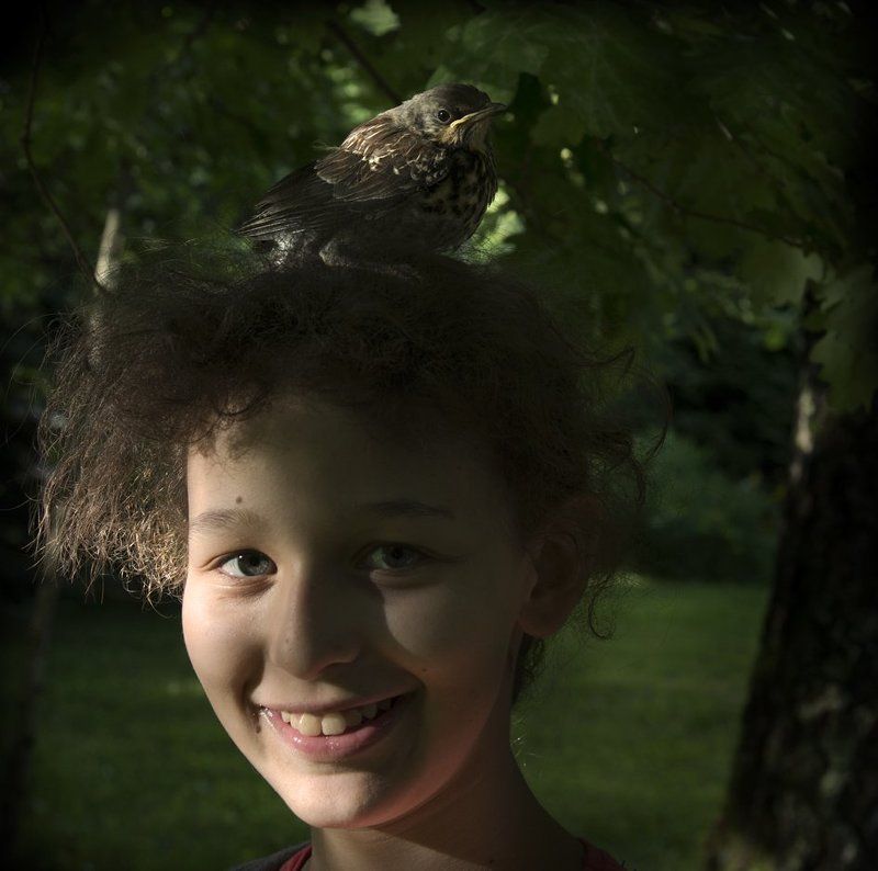 The Smiling Nest) фото превью