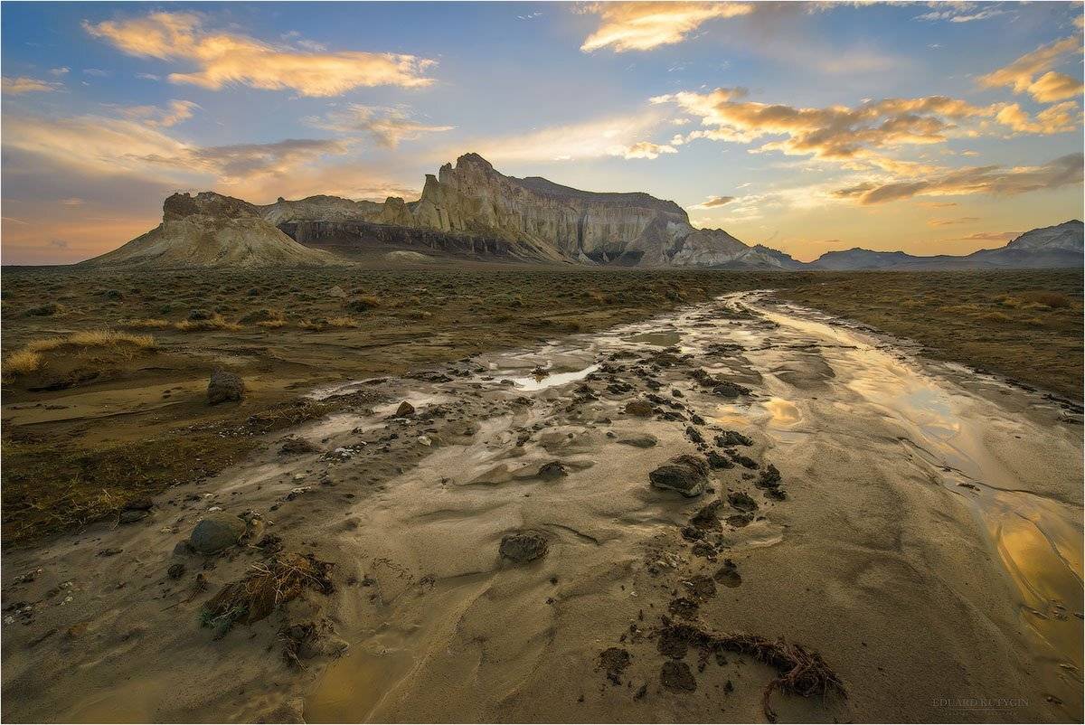 , Кутыгин Эдуард