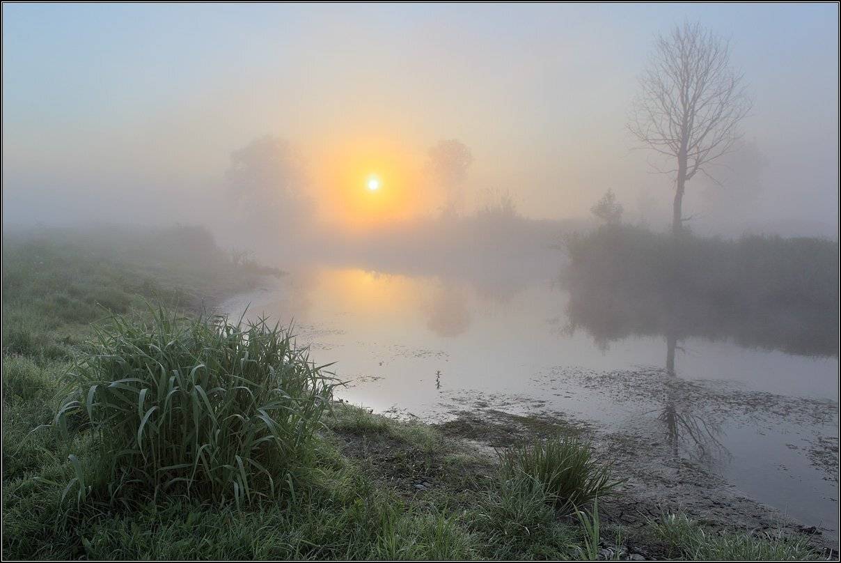 , Михаил (mgk)