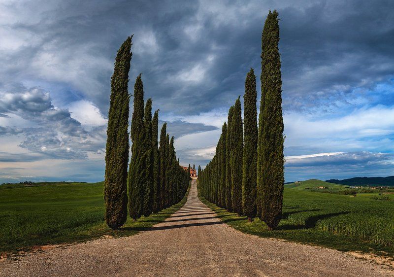 Italy, Tuscany, Италия, Тоскана Долгий путь домой. фото превью