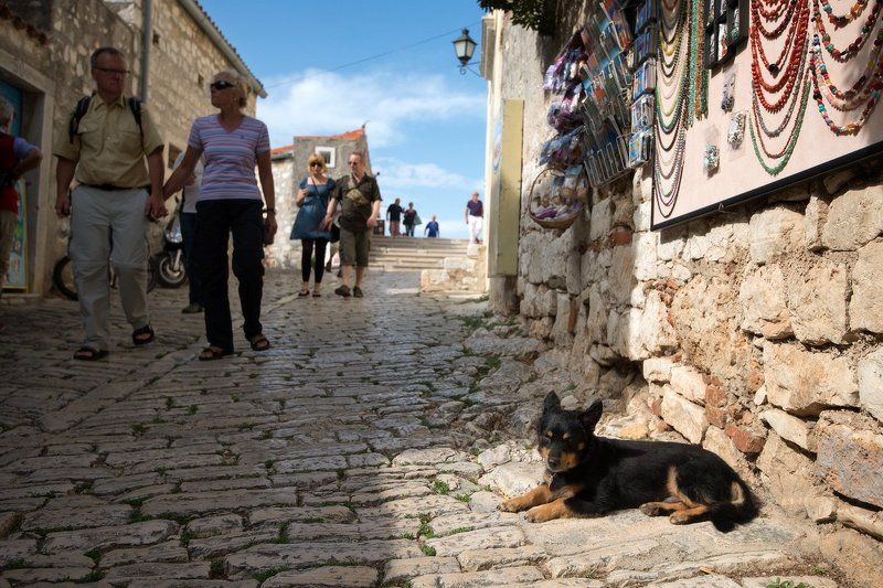 По улочкам старого города фото превью