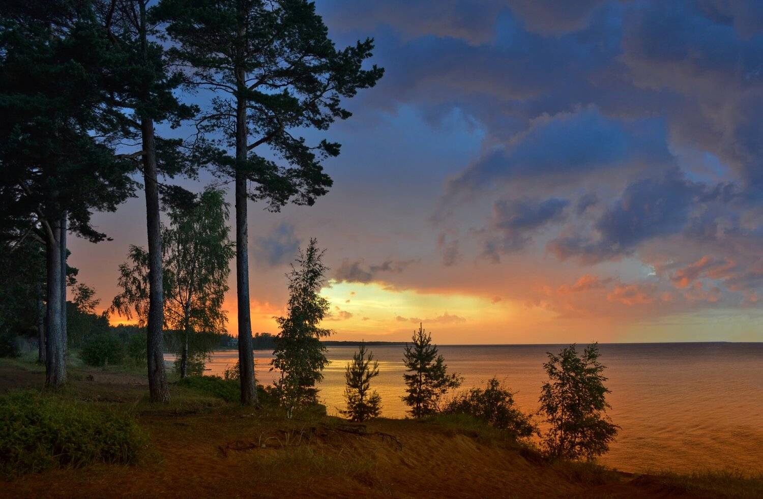 , Сильвана Спиридонова