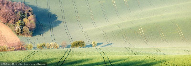 Южная Моравия, Чехия, Southern Moravia, Czech Republic, Миниатюрные деревья фото превью